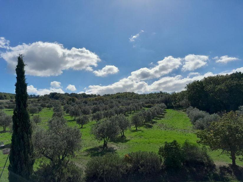 Agriturismo Barbi Monticchiello Exterior photo