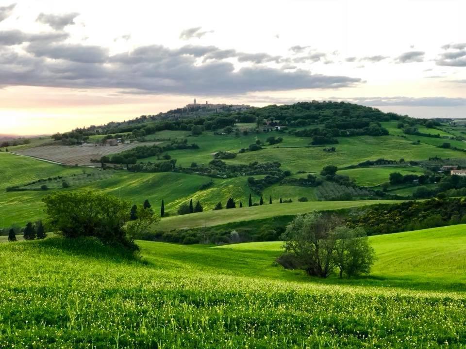 Agriturismo Barbi Monticchiello Exterior photo
