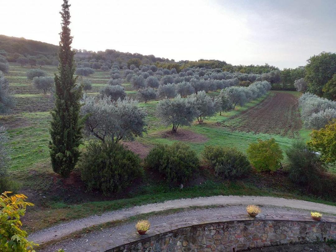 Agriturismo Barbi Monticchiello Exterior photo